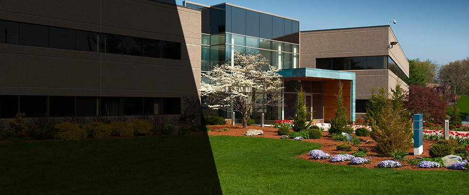 Fountain Valley Landscapers