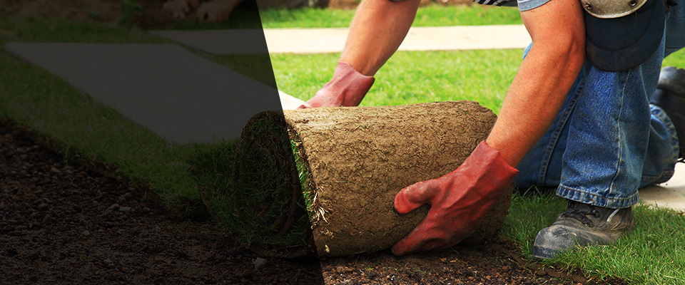 Fountain Valley Landscapers
